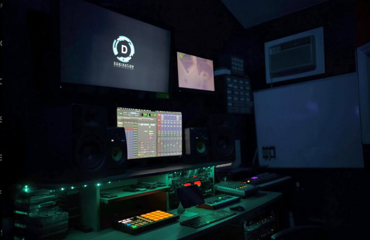 DOMINATION STUDIO